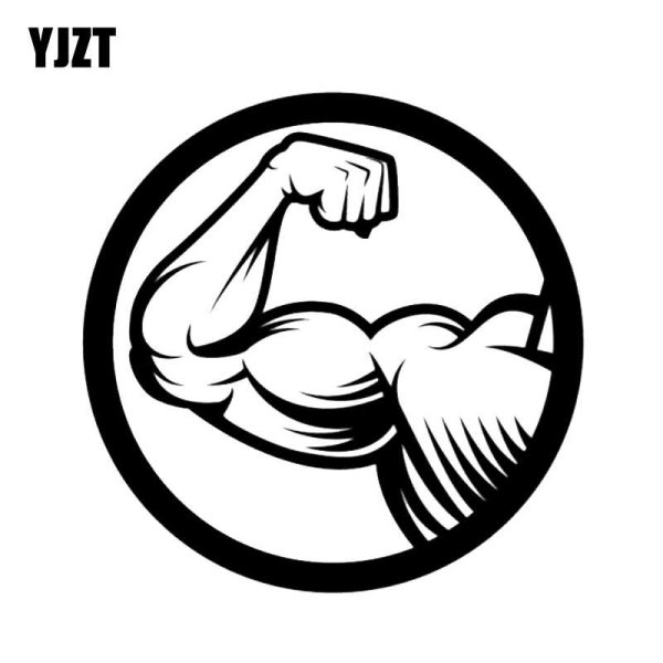 Бицепс рисунок