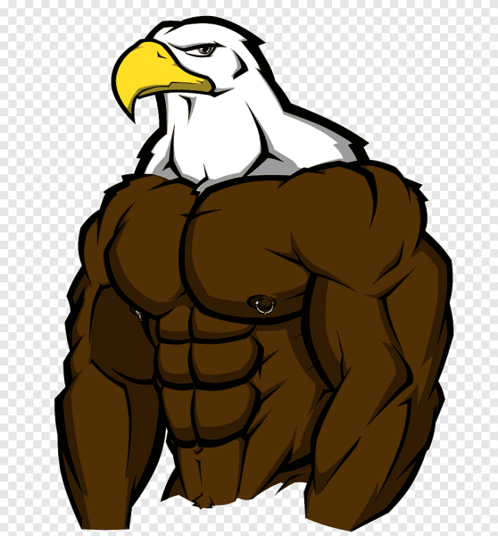 Накаченный кот