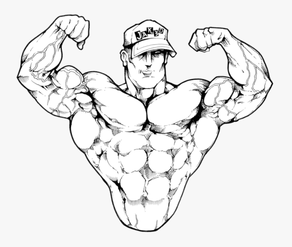 Ступни мужские анатомия референс