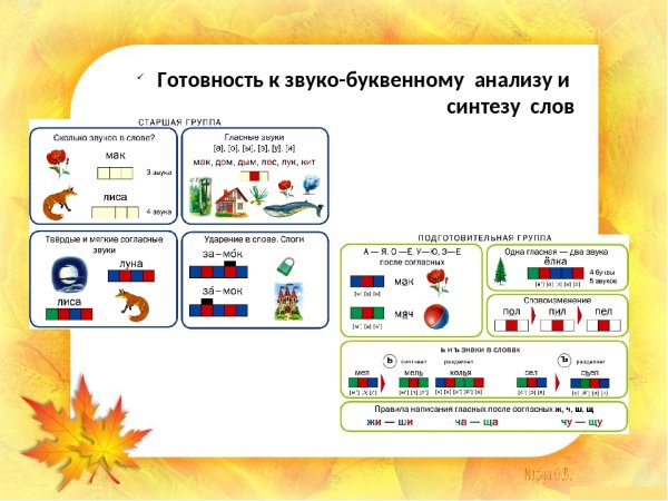 Звуковой разбор схема