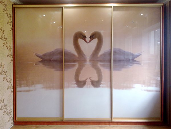 Встроенный шкаф купе с фотопечатью на стекле