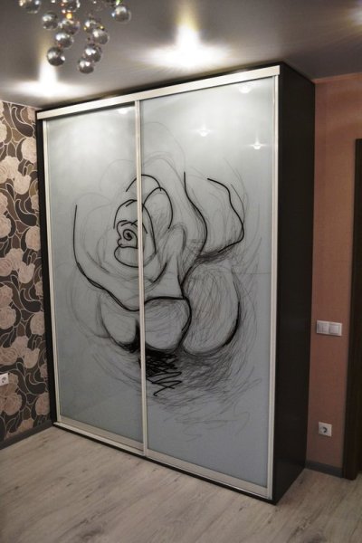 Встроенные шкафы купе с рисунком