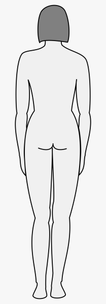 Очертания женского тела