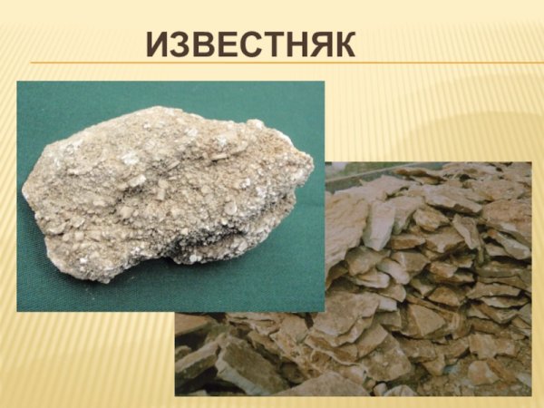 Известняк это минерал или Горная порода