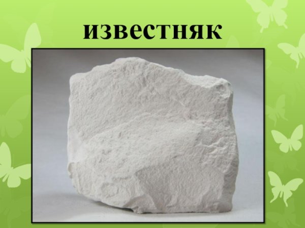 Известняк окружающий мир