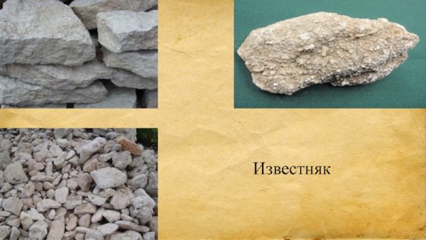 Горные породы известняк 2 класс