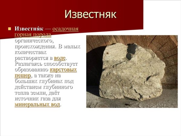 Известняк окружающий мир