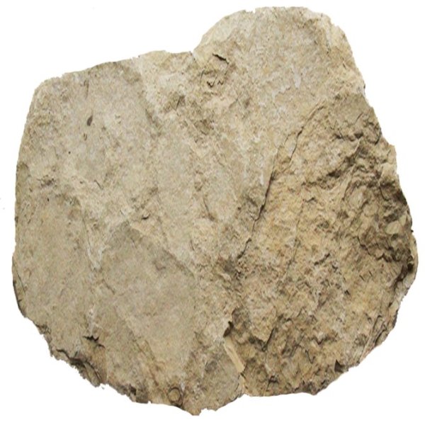 Известняк Горная порода