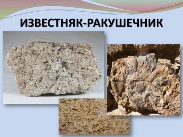 Известняк ракушечник минерал