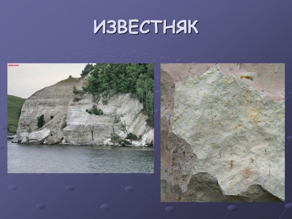 Известняк окружающий мир