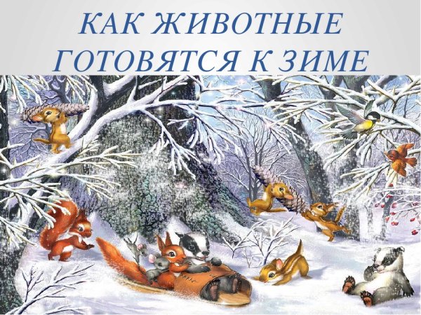 Как звери готовятся к зиме