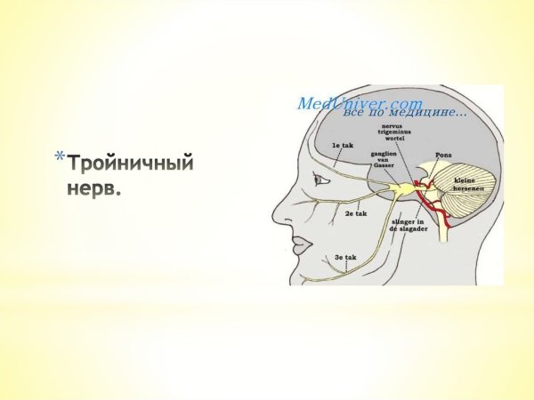 Тройничный нерв расположение ветвей схема