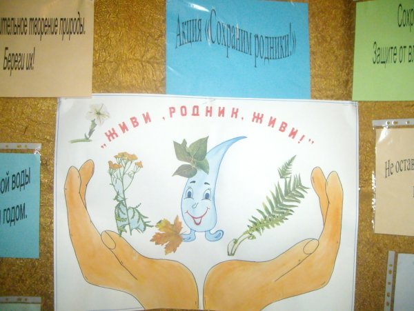 Плакат Родник