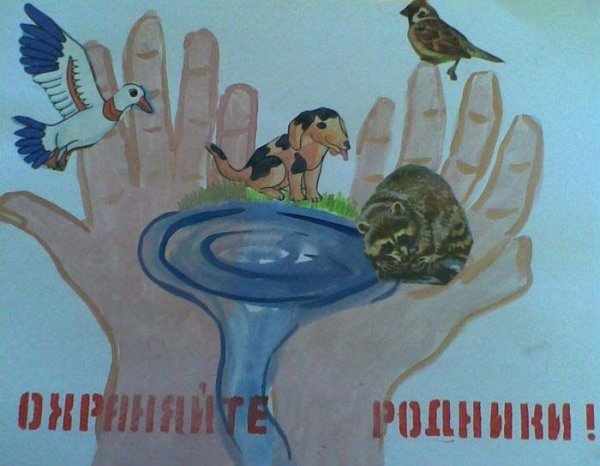 Берегите Родники плакат