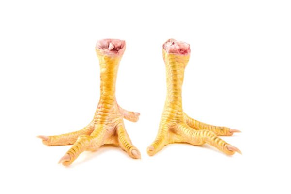 Куриная лапа на белом фоне