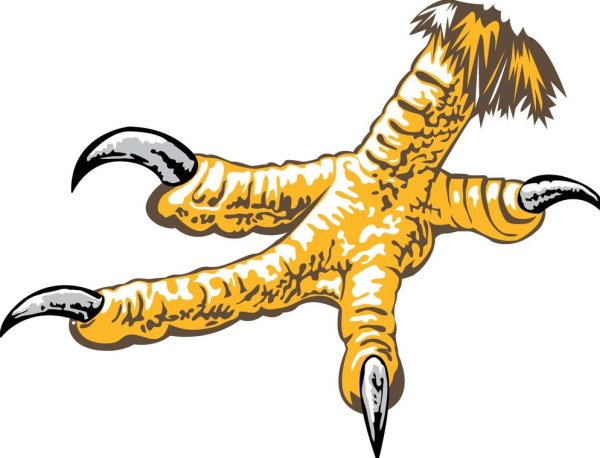 Следы фазана