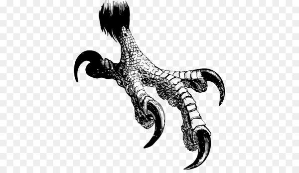 Птичьи лапы референс