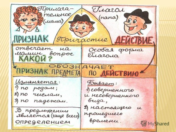 Действительные и страдательные причастия рисунок
