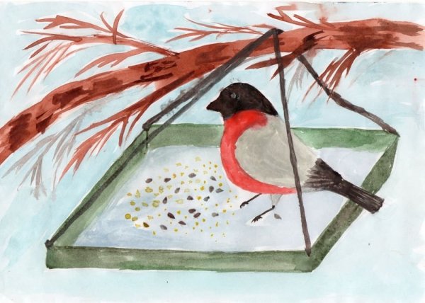 Покормите птиц зимой