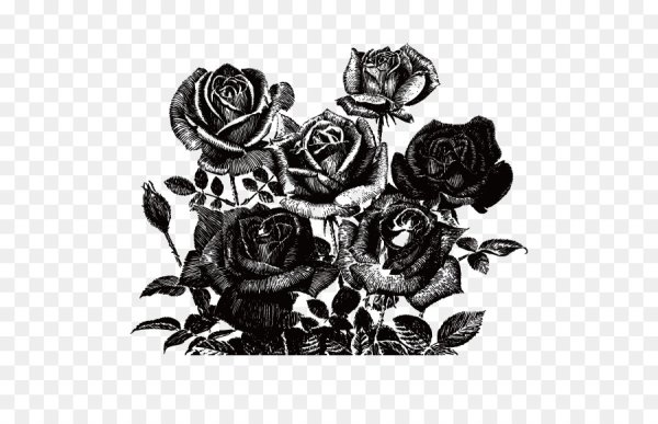 Черная роза нарисованная