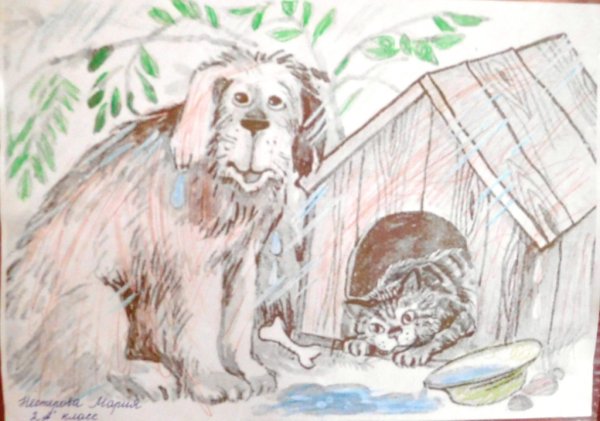 Беспризорная кошка Борис Житков