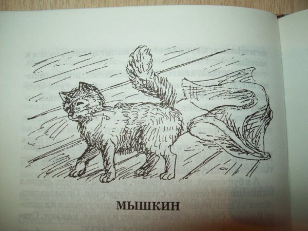 Беспризорная кошка Борис Житков иллюстрации