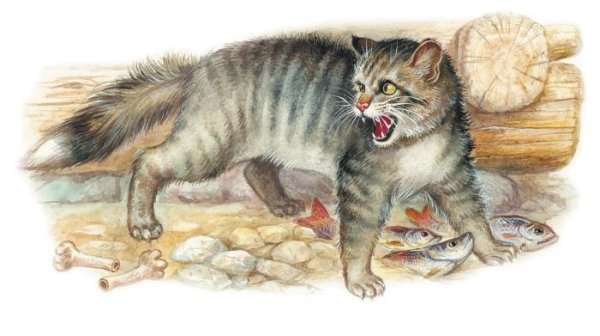 Житков б.с. "Беспризорная кошка"