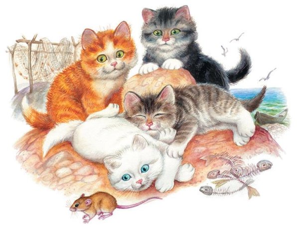 Черная кошка приблудная