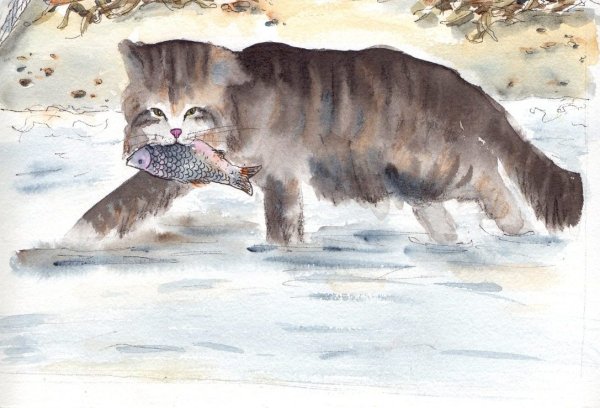 Мышкин Житков