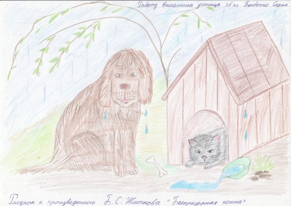 Рассказ Борис Житков про кошку
