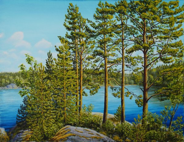 Леса Карелии Юконкоски живопись