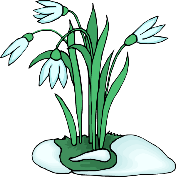 Дерево в разные времена года