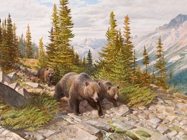 Гризли североамериканский бурый медведь