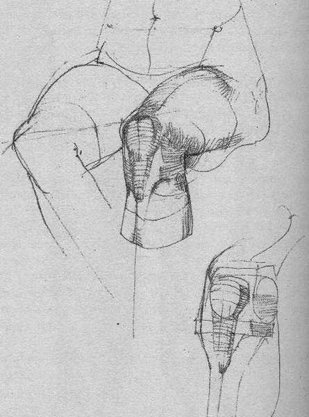 Готфрид Баммес коленный сустав