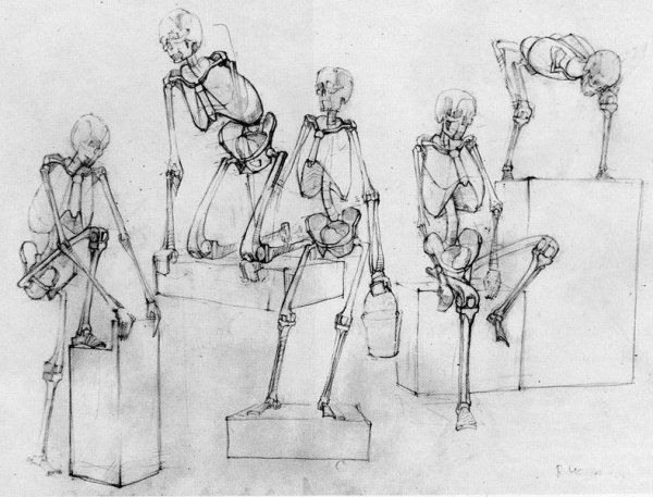 Анатомия изображение человека Готтфрид Баммес