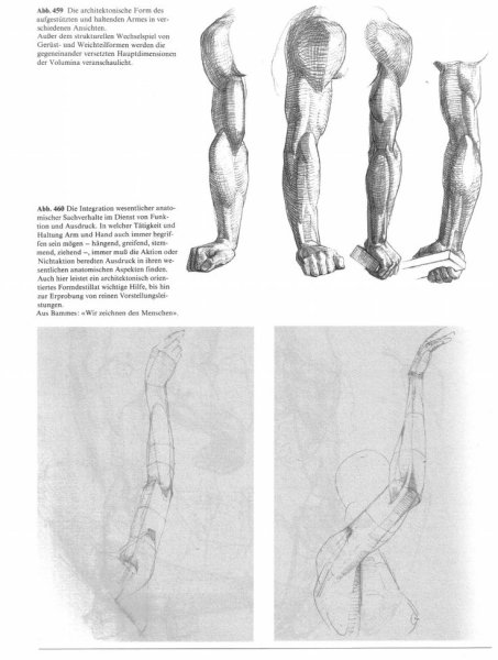 Баммес локоть