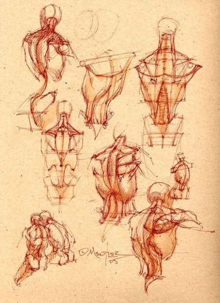 Баммес анатомия для художников