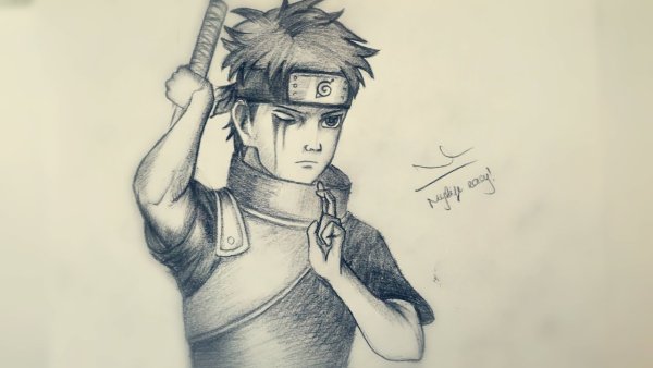 Шисуи рисунок легкий