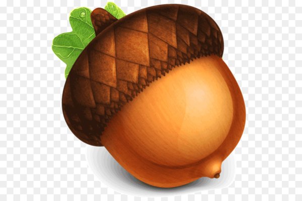 Желудь для детей