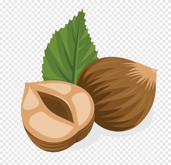 Нарисовать орех