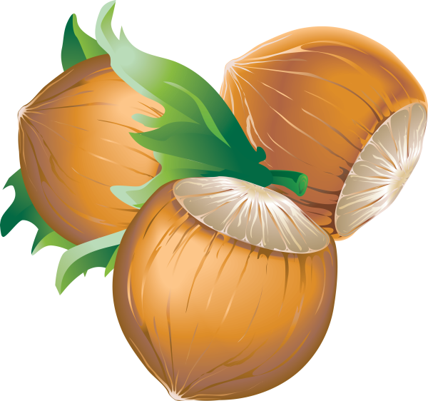 Нарисовать орех