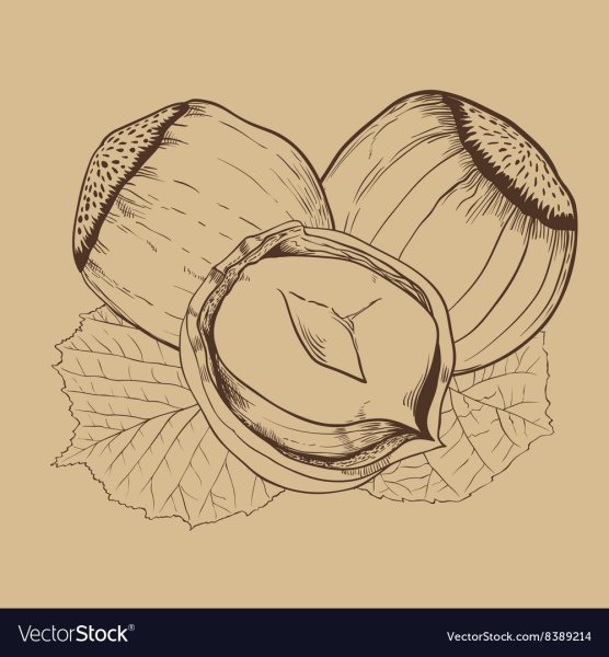 Сухофрукты раскраска