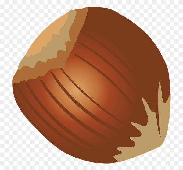 Лист орешника лещина