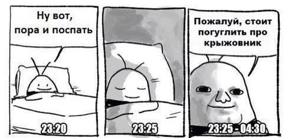 Надо загуглить про крыжовник