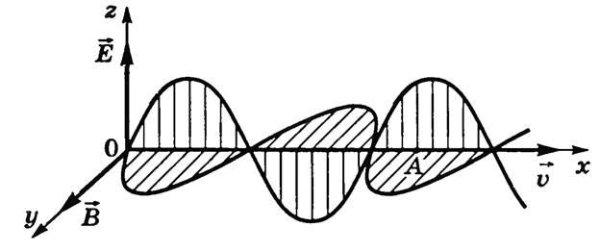 Электромагнитные волны (ЭМВ)