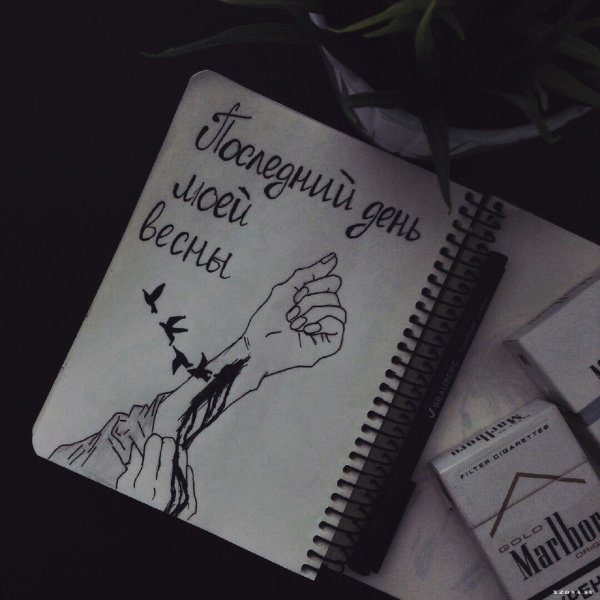 Vspak обложки треков