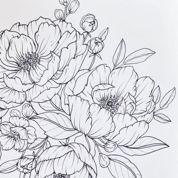 Цветы Графика