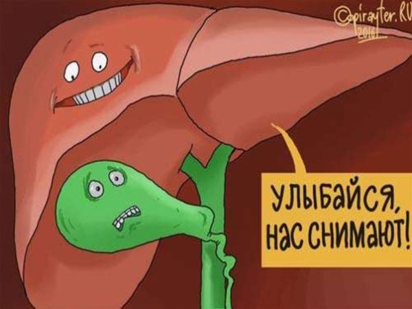 Смешной желчный пузырь