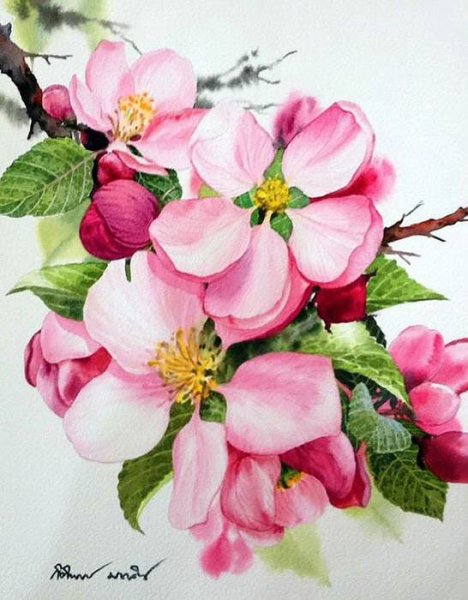 Алмазная мозаика Яблоневый цвет