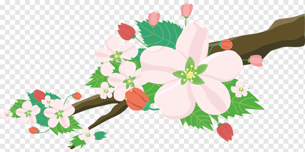 Цветы яблони для детей